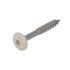 247WOOD Head screw white stainless steel - 50 pcs